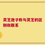 灵芝孢子粉与灵芝的区别和联系