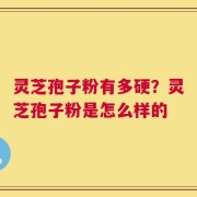 灵芝孢子粉有多硬？灵芝孢子粉是怎么样的