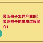 灵芝孢子怎样产生的(灵芝孢子的生成过程简介)