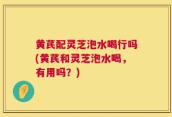黄芪配灵芝泡水喝行吗(黄芪和灵芝泡水喝，有用吗？)