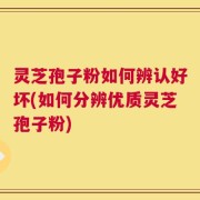灵芝孢子粉如何辨认好坏(如何分辨优质灵芝孢子粉)
