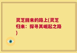 灵芝回来的路上(灵芝归来：探寻其崛起之路)