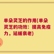 单朵灵芝的作用(单朵灵芝的功效：提高免疫力，延缓衰老)