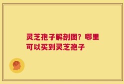 灵芝孢子解剖图？哪里可以买到灵芝孢子