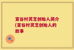 宣谷村灵芝创始人简介(宣谷村灵芝创始人的故事