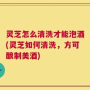 灵芝怎么清洗才能泡酒(灵芝如何清洗，方可酿制美酒)