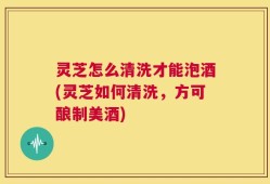 灵芝怎么清洗才能泡酒(灵芝如何清洗，方可酿制美酒)