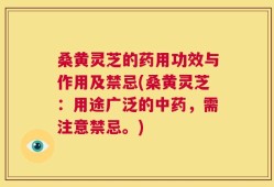 桑黄灵芝的药用功效与作用及禁忌(桑黄灵芝：用途广泛的中药，需注意禁忌。)