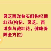 灵芝西洋参石斛枸杞藏红花(枸杞、灵芝、西洋参与藏红花，健康保障全方位)