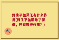 野生平盖灵芝有什么作用(野生平盖菌除了保健，还有哪些作用？)