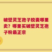 破壁灵芝孢子胶囊哪里卖？哪里买破壁灵芝孢子粉最正宗