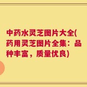 中药水灵芝图片大全(药用灵芝图片全集：品种丰富，质量优良)