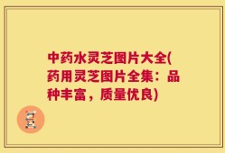 中药水灵芝图片大全(药用灵芝图片全集：品种丰富，质量优良)