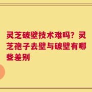 灵芝破壁技术难吗？灵芝孢子去壁与破壁有哪些差别