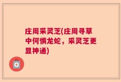 庄周采灵芝(庄周寻草中何惧龙蛇，采灵芝更显神通)