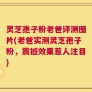 灵芝孢子粉老爸评测图片(老爸实测灵芝孢子粉，震撼效果惹人注目)