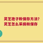 灵芝孢子粉保存方法？灵芝怎么采摘和保存
