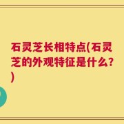 石灵芝长相特点(石灵芝的外观特征是什么？)
