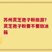 苏州灵芝孢子粉旅游？灵芝孢子粉要不要放冰箱