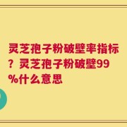 灵芝孢子粉破壁率指标？灵芝孢子粉破壁99%什么意思