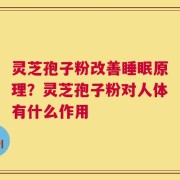 灵芝孢子粉改善睡眠原理？灵芝孢子粉对人体有什么作用
