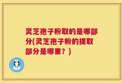 灵芝孢子粉取的是哪部分(灵芝孢子粉的提取部分是哪里？)