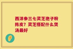 西洋参三七灵芝孢子粉陈皮？灵芝搭配什么煲汤最好