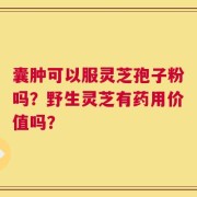 囊肿可以服灵芝孢子粉吗？野生灵芝有药用价值吗？