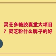 灵芝多糖胶囊重大项目？灵芝粉什么牌子的好