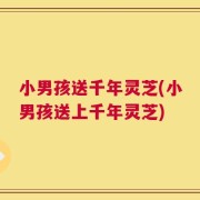 小男孩送千年灵芝(小男孩送上千年灵芝)