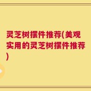 灵芝树摆件推荐(美观实用的灵芝树摆件推荐)