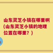 山东灵芝小镇在哪里啊(山东灵芝小镇的地理位置在哪里？)