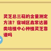 灵芝总三萜的含量测定方法？宿城区鑫常达菌类培植中心种植灵芝靠谱吗
