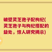 破壁灵芝孢子配枸杞(灵芝孢子与枸杞搭配的益处，惊人研究揭示)