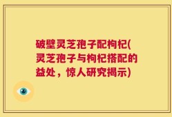 破壁灵芝孢子配枸杞(灵芝孢子与枸杞搭配的益处，惊人研究揭示)