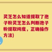 灵芝怎么知道提取了孢子粉灵芝怎么判断孢子粉提取纯度，正确操作方法)