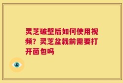 灵芝破壁后如何使用视频？灵芝盆栽前需要打开菌包吗