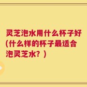 灵芝泡水用什么杯子好(什么样的杯子最适合泡灵芝水？)