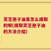 灵芝孢子油是怎么提取的呢(提取灵芝孢子油的方法介绍)
