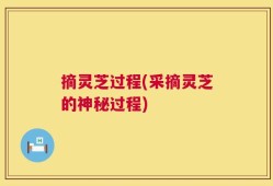 摘灵芝过程(采摘灵芝的神秘过程)