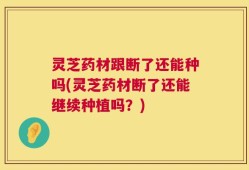 灵芝药材跟断了还能种吗(灵芝药材断了还能继续种植吗？)