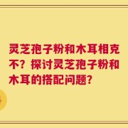 灵芝孢子粉和木耳相克不？探讨灵芝孢子粉和木耳的搭配问题？