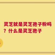 灵芝就是灵芝孢子粉吗？什么是灵芝孢子