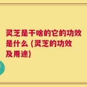 灵芝是干啥的它的功效是什么 (灵芝的功效及用途)
