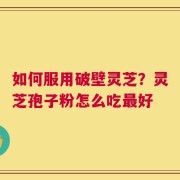 如何服用破壁灵芝？灵芝孢子粉怎么吃最好