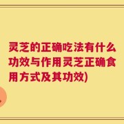灵芝的正确吃法有什么功效与作用灵芝正确食用方式及其功效)