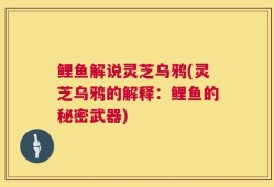 鲤鱼解说灵芝乌鸦(灵芝乌鸦的解释：鲤鱼的秘密武器)