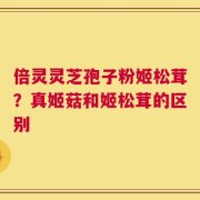倍灵灵芝孢子粉姬松茸？真姬菇和姬松茸的区别