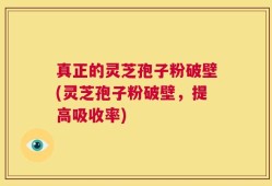 真正的灵芝孢子粉破壁(灵芝孢子粉破壁，提高吸收率)
