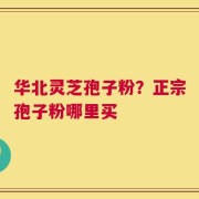 华北灵芝孢子粉？正宗孢子粉哪里买